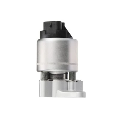 17113619 OEM-standardi EGR-venttiili GMC ACDelco:2141038